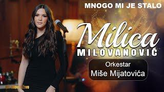 Milica Milovanovic & ork. Mise Mijatovica - Mnogo mi je stalo Cover 2023