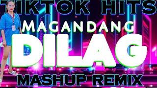 MAGANDANG DILAG TIKTOK TRENDING MASHUP NONSTOP REMIXNEW DISCO TIKTOK REMIX VIRAL 2024