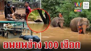 อพยพวุ่น ช่วยช้าง 100 เชือกหนีน้ำป่าทะลักท่วมแม่แตง  ทุบโต๊ะข่าว  41067