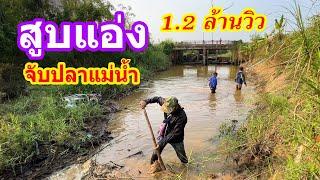 สูบแอ่งจับปลาแม่น้ำ ปลาเยอะจนจับไม่ไหว  Ep.019