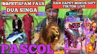 LIVE PASCOL DISPAM PAUS2 SINGA DAN DAPET BONUS GIFT TIKTOK LIVE