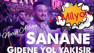 Necip Albay - Sanane  Yiyip İçip Gezecem   & Gidene Yol Yakışır  Herkese Giden Bana Gelmesin 