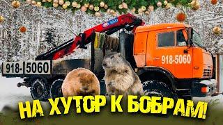 На хутор к бобрам  Coming to the Farm in the Realm of Beavers