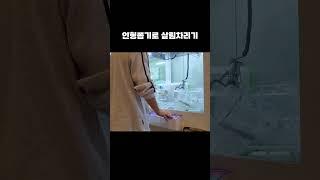 인형뽑기로 살림차리기 #shorts