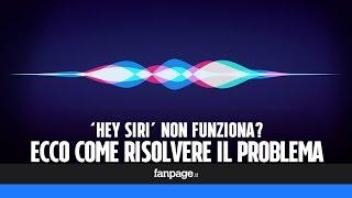 Hey Siri non funziona? Ecco la semplice soluzione per risolvere il problema