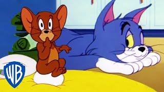 Tom & Jerry em Português  Brasil  Desenho Animado Clássico 115  WB Kids