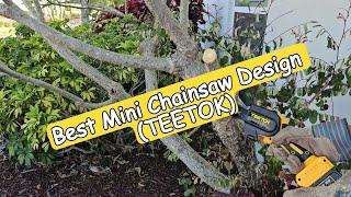 Best Mini Chainsaw Design - Must Have Features - Whats Really Important?