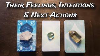  Their Feelings Intentions & Next Actions  Pick A Card Love Reading