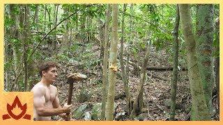 Primitive Technology Stone Adze