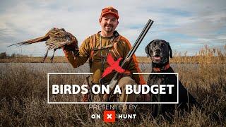 Birds on a Budget Pinching Pennies While Chasing Roosters in South Dakota