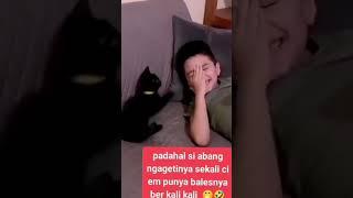 kaget #videolucu #cat #kucinglucu #kucing #catlover #funny #funnyanimals #lucu