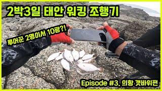 태안 워킹 광어 2박3일 Episode #3. 의항 갯바위편   feat.총 10광더블5광