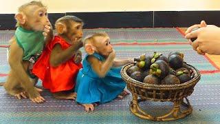 Most Two Cutest Sist Wait Patiently But Pruno Crry Losing Control Three Babes Look Hungry Eat Fruit