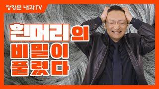 제115강 흰머리의 비밀이 풀렸다.