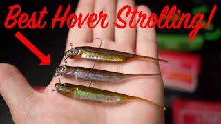 BEST Hover Strolling Plastic.....Fish Arrow Flash J