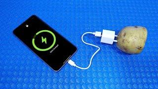 How to generate free electricity with potato charge your phone  Simple Tips