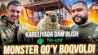 MONSTER QOY BOQVOLDI  KARELIYADA DAM OLISH