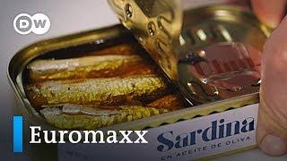 Geschmackssache Alles aus der Dose  Euromaxx