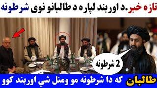طالبان دا شرطونه دی ومني اوربند کوو