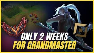 GET GRANDMASTERS IN ONLY 2 WEEKS WITH KAYN TOP IN SEASON 14