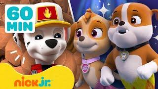 PAW Patrol  Land & See Rettungen mit Zuma Chase & Tracker  60 Minuten Zusammenstellung  Nick Jr.