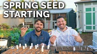 Start Seeds With Us Seedling Mixes Varieties and Special Tips