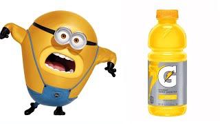 Despicable Me 4 Characters and their favorite Drinks and other favorites  Gru and Mega Minions