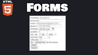 Learn HTML forms in 10+ minutes 