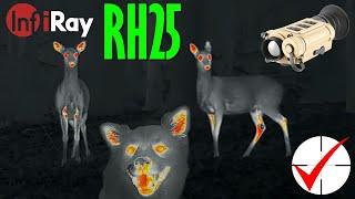 iRay RH25 Thermal Footage