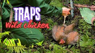 Wild Chicken trap Easiest wild animal trap. 1 man and 1 dog survive in the forest 38