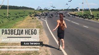 РАЗВЕДИ НЕБО - Дана Соколова кавер  Алиса Трифонова