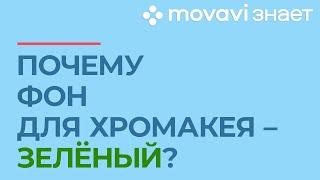 Почему хромакей зеленый?  MOVAVI ЗНАЕТ