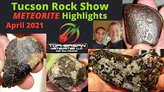 Buying Meteorites in Tucson 2021 Rock Show wFriends- Pallasite Mars Iron Rare Meteorites