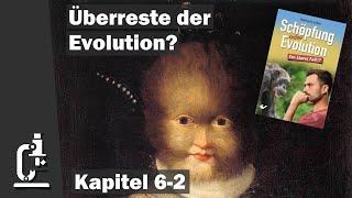 Atavismen – Überreste der Evolution?  Schöpfung oder Evolution 6-2