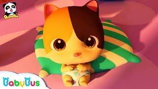 Bayi Kucing Super Lucu & Imut  Lagu Anak & Kartun Anak  Bahasa Indonesia  BabyBus