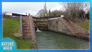 Soothing walk down a picturesque canal with locks Nature Visualizer