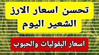 اسعار الارز الشعير اليوم اسعار الارز الابيض ومخلفات الارز واسعار الذرة والصويا اليوم