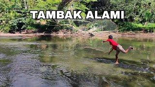 JALA IKAN SEPERTI TAMBAK SENDIRI GAK PERLU SUSAH CARI IKAN ‼️