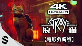 【 STRAY 】All Cutscenes Game Movie - Cute Cats adventure  - HUD OFF - 4K60FPS - By Semenix