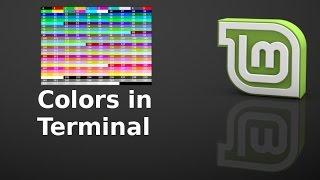 Meaning of different colors in command line terminal of Linux Mint Ubuntu