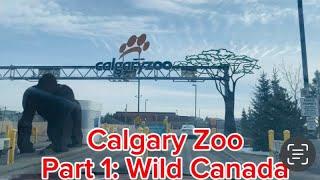 Sở Thú Phần 1 Khu Thú Hoang Dã—Calgary Zoo