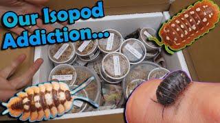 Unboxing $1000 Worth of Isopods