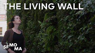 The Living Wall