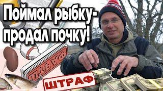 Как не продать почку за пойманную рыбу? Дядя Фёдор про новые штрафы.