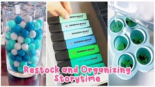  30 Minutes Satisfying Restock And Organizing Tiktok Storytime Compilation Part431  Lisa Storytime