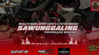JINGLE BANTENGAN SAWUNGGALING‼️ KI AGENG SEKAR SUMITO x PUTRO MAHESO  Remixer BOLODEWO PROJECT