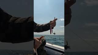 ловили рыбу апоймали краба