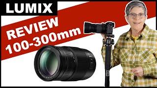 Lumix 100-300mm II Lens Review