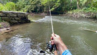 Tiny Creek Fishing for BIG TROUT