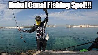 Productive Fishing  Dubai Canal UAE  Sibiki lang sakalam